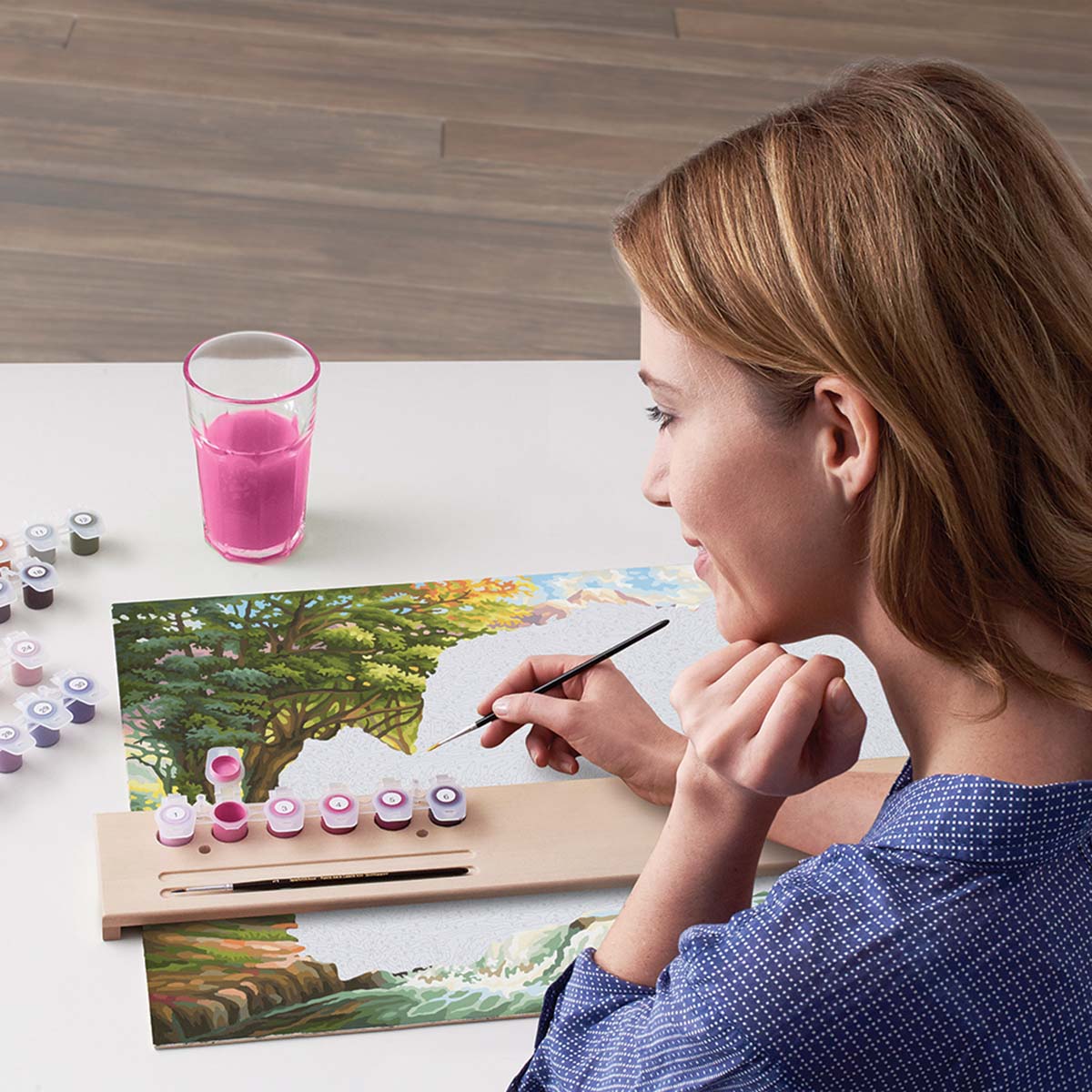 Schipper Paintmaster-Sliding Wood Ledge Accessory