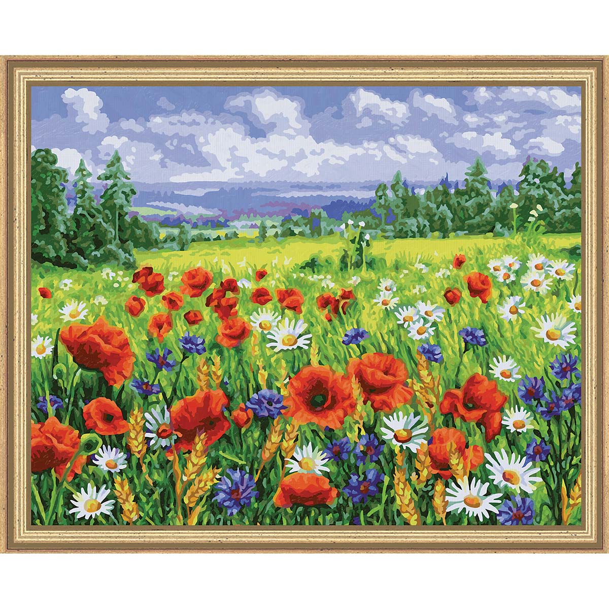 Schipper Wildflower Meadow Paint by Number Kit